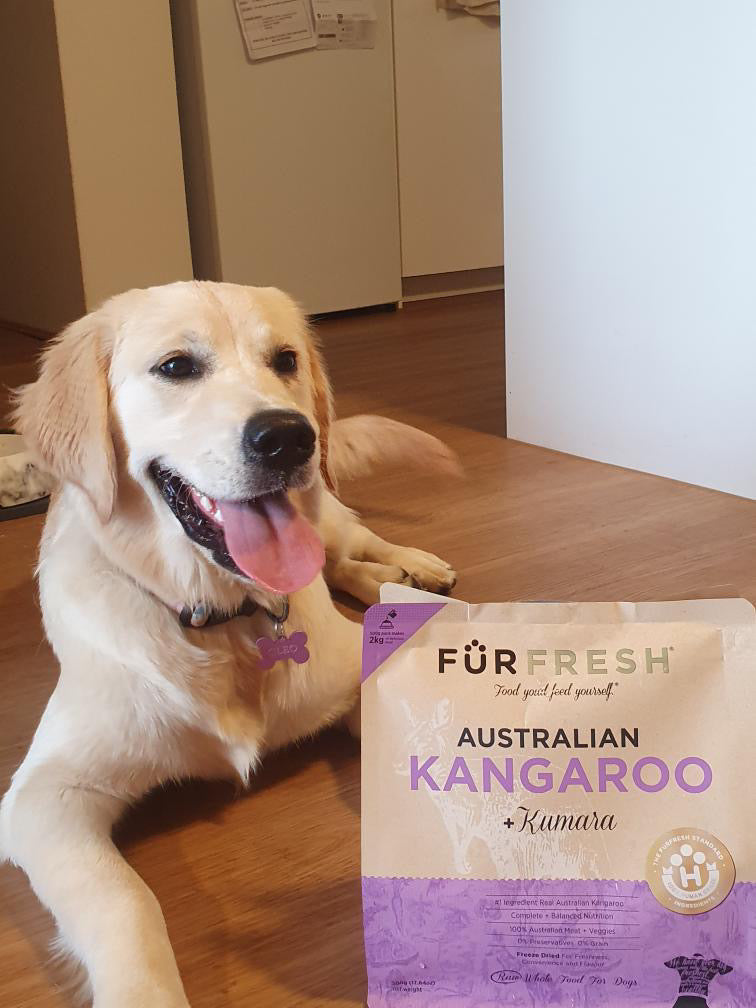 Australian Kangaroo + Mackerel Freeze Dried Daily Dog Food