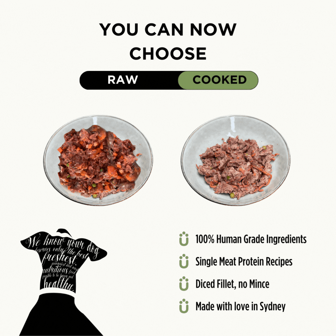 Best raw meat dog food clearance