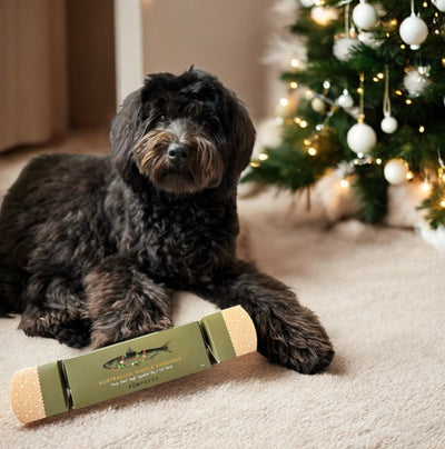 2024 Edition FurFresh Christmas Bon Bon Australian Whole Raw Sardines Freeze Dried 55g