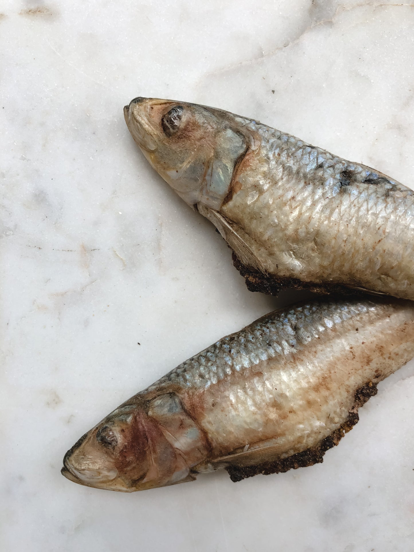 FurFresh Christmas Bon Bon Australian Whole Raw Sardines 2025 Edition