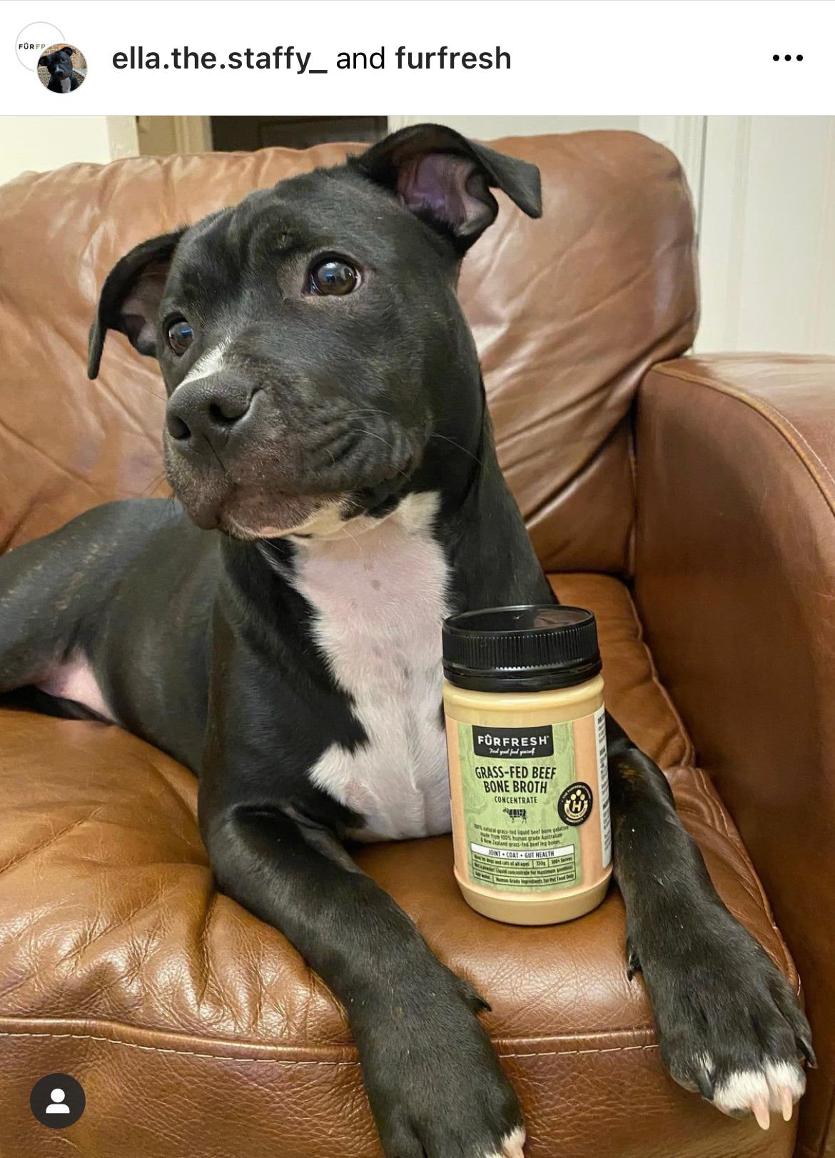 Grass-Fed Beef Bone Broth Concentrate Dog & Cat Food Topper