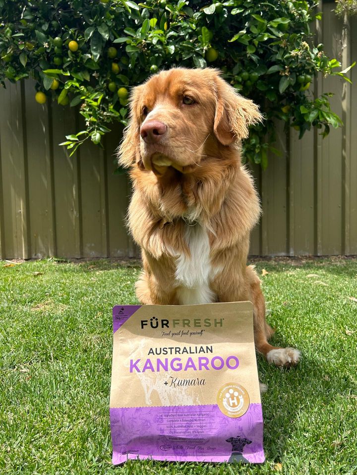 Freeze Dried Dog Food Australian Kangaroo Kumara Australian