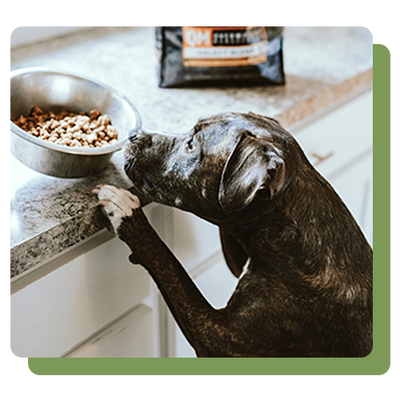 FurFresh Fresh Dog Food Delivery Australia Australian Made Pet Food
