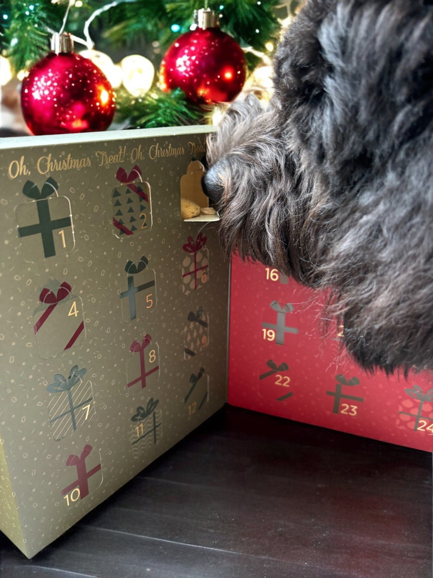 FurFresh Dog & Cat Christmas Advent Calendar | 24 Meatballs