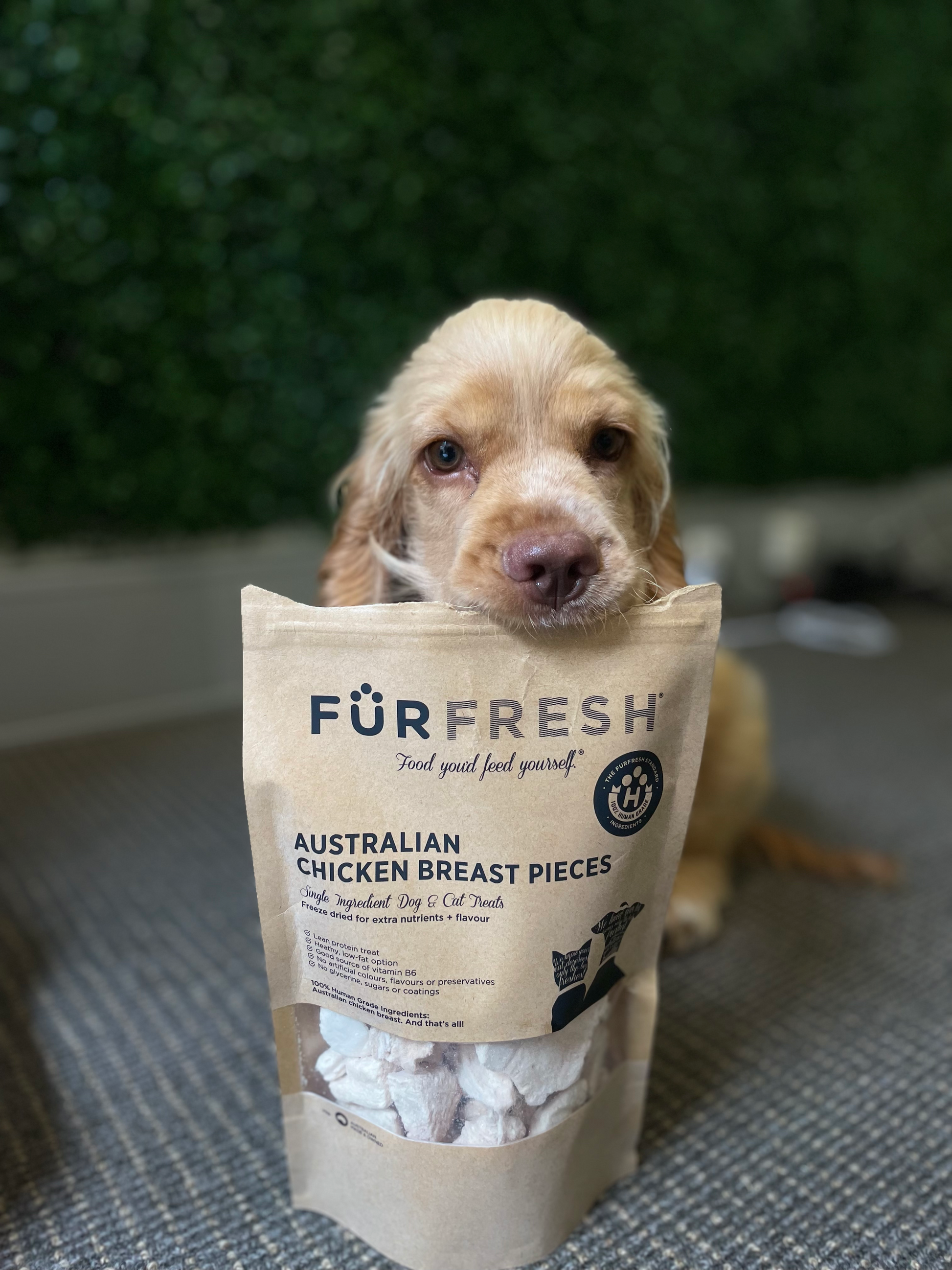 Healthy Dog Treats FurFresh Australian Chicken Breast Pieces